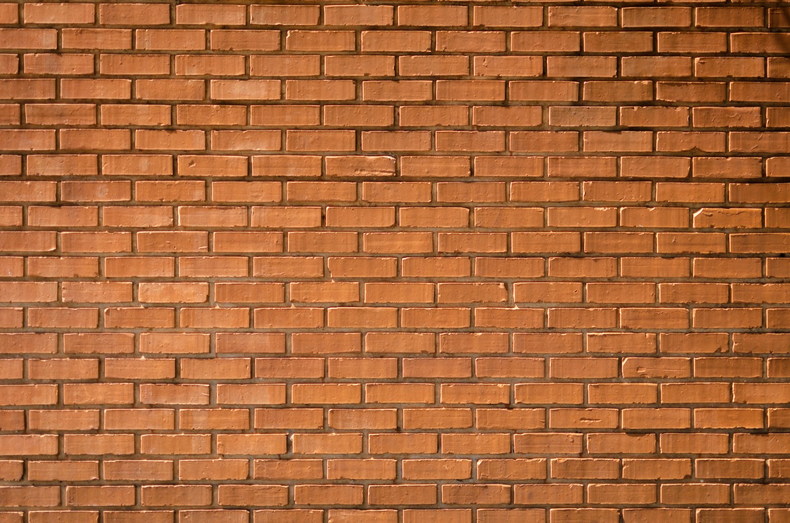 Informative illustration of UK Party Wall Rules for homeowners looking to renovate or extend their property with the help of an Architectural Designer.