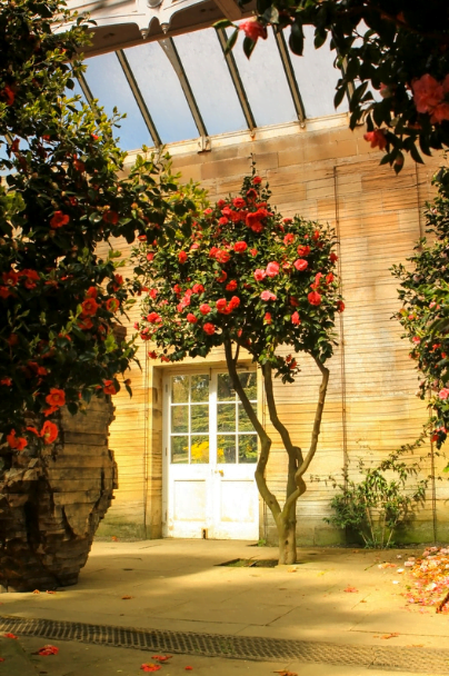 An elegant orangery and conservatory side by side, showcasing their unique Architectural features and natural light-filled interiors.