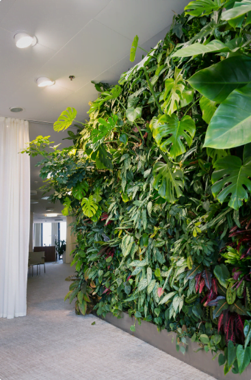 Image depicting a lush indoor green wall with diverse plant species, bringing a touch of nature into a contemporary living space.