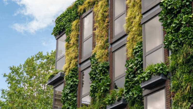 Top Architectural Trends That Are Soaring High in 2024